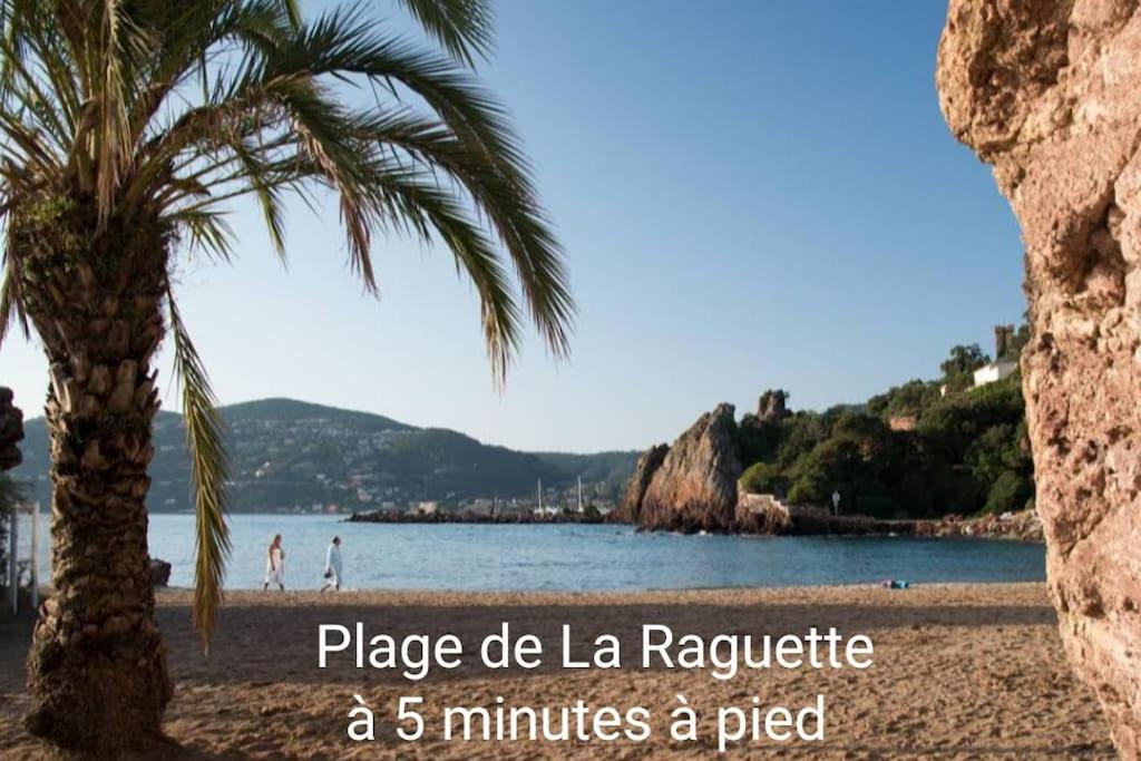 Claelle Appartment - 200M Beach Mandelieu Exterior foto